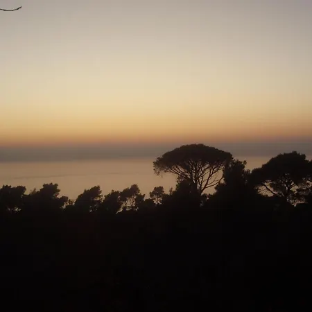 Konavle Zlatovisce * Gruda