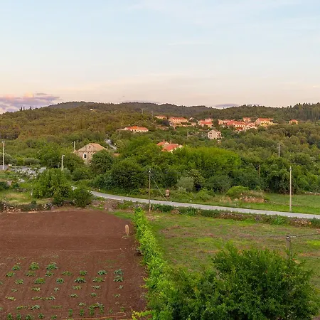 Konavle Zlatovisce Gruda