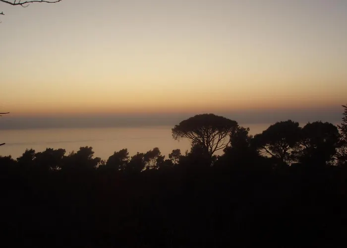 Konavle Zlatovisce * 그루다