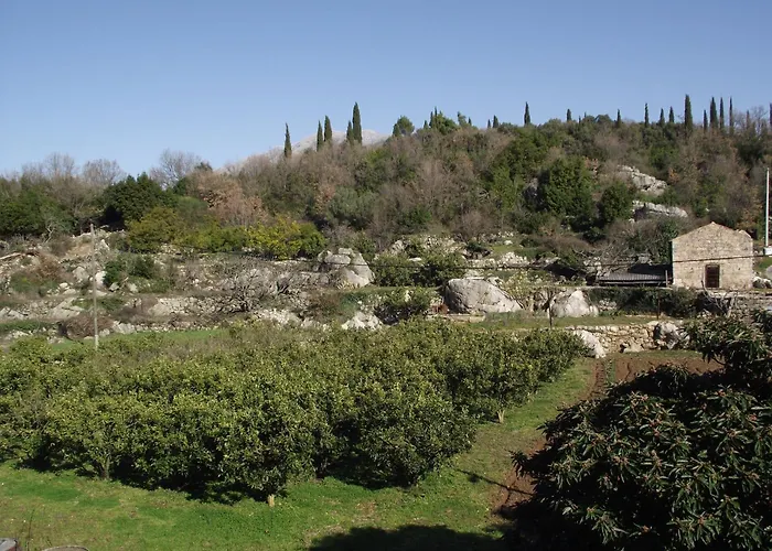 아파트 Konavle Zlatovisce