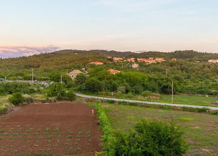 Konavle Zlatovisce 그루다